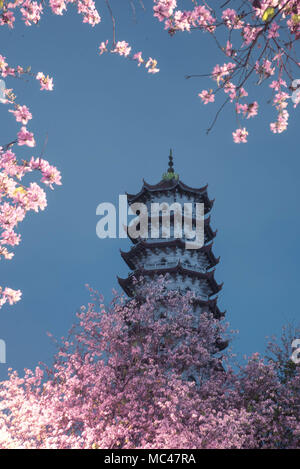 Fuzhou, Fuzhou, Chine. 13 avr, 2018. Fuzhou, Chine 13ème Avril 2018 : paysage nocturne de fleurs et l'ancien bâtiment de Gongye Road à Fuzhou, Chine du sud-est de la province de Fujian (édité) photos : Crédit Asie/SIPA ZUMA Wire/Alamy Live News Banque D'Images