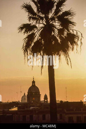 Rome, Italie. 1er décembre 1989. Un palmier domine cette vue de Rome, Italie, en fin d'après-midi à partir du haut de la place d'Espagne. Le dôme de la basilique de Sant'Ambrogio e Carlo al Corso est visible sur l'horizon. Rome est une destination touristique populaire. Credit : Arnold Drapkin/ZUMA/Alamy Fil Live News Banque D'Images