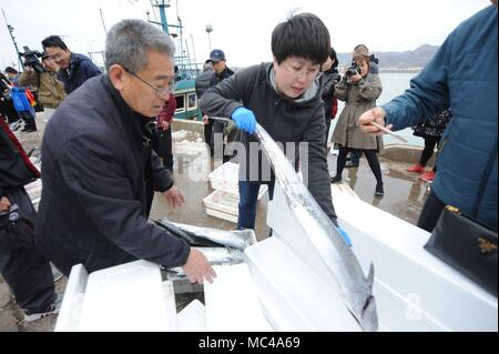 13 avril 2018 - Qingdao, Qingdao, Chine - Qingdao, Chine 13ème Avril 2018 : Le Festival a lieu Maquereau à Qingdao, Chine de l'est la province de Shandong. (Crédit Image : © SIPA l'Asie via Zuma sur le fil) Banque D'Images