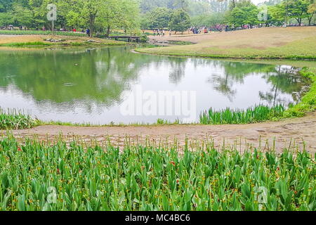 Hangzhou, Hangzhou, Chine. Apr 12, 2018. Hangzhou, Chine 12 avril 2018 : Paysage de parc Taiziwan à Hangzhou, Zhejiang Province de Chine orientale. Crédit : SIPA Asie/ZUMA/Alamy Fil Live News Banque D'Images