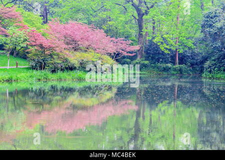 Hangzhou, Hangzhou, Chine. Apr 12, 2018. Hangzhou, Chine 12 avril 2018 : Paysage de parc Taiziwan à Hangzhou, Zhejiang Province de Chine orientale. Crédit : SIPA Asie/ZUMA/Alamy Fil Live News Banque D'Images