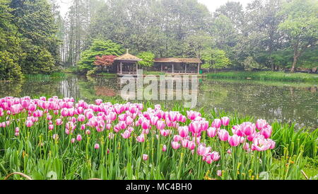 Hangzhou, Hangzhou, Chine. Apr 12, 2018. Hangzhou, Chine 12 avril 2018 : Paysage de parc Taiziwan à Hangzhou, Zhejiang Province de Chine orientale. Crédit : SIPA Asie/ZUMA/Alamy Fil Live News Banque D'Images