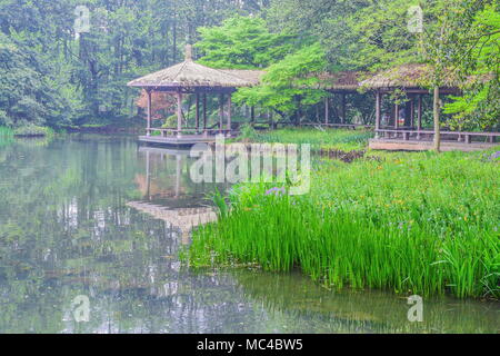 Hangzhou, Hangzhou, Chine. Apr 12, 2018. Hangzhou, Chine 12 avril 2018 : Paysage de parc Taiziwan à Hangzhou, Zhejiang Province de Chine orientale. Crédit : SIPA Asie/ZUMA/Alamy Fil Live News Banque D'Images