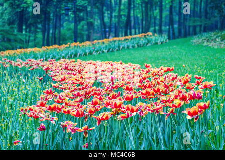 Hangzhou, Hangzhou, Chine. Apr 12, 2018. Hangzhou, Chine 12 avril 2018 : Paysage de parc Taiziwan à Hangzhou, Zhejiang Province de Chine orientale. Crédit : SIPA Asie/ZUMA/Alamy Fil Live News Banque D'Images