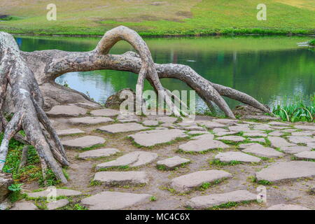 Hangzhou, Hangzhou, Chine. Apr 12, 2018. Hangzhou, Chine 12 avril 2018 : Paysage de parc Taiziwan à Hangzhou, Zhejiang Province de Chine orientale. Crédit : SIPA Asie/ZUMA/Alamy Fil Live News Banque D'Images