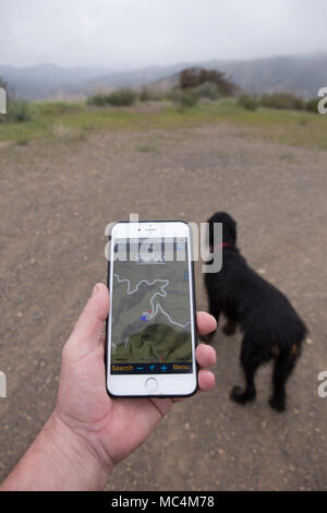 En utilisant l'app motionX GPS sur un iPhone 6 plus de naviguer d'un sentier de randonnée avec un chien dans la montagne de Santa Ana Orange County California USA Banque D'Images