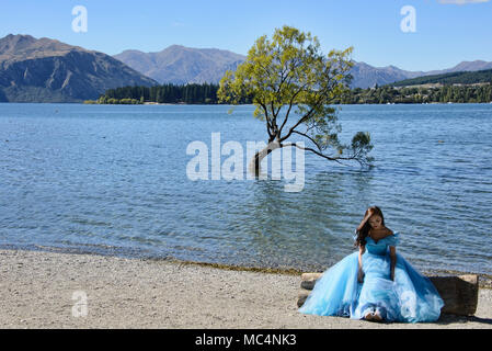 Le célèbre arbre, Lac Wanaka Wanaka, Nouvelle-Zélande Banque D'Images