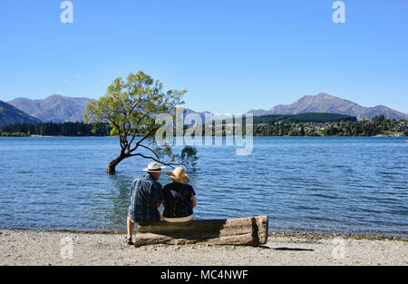 Le célèbre arbre, Lac Wanaka Wanaka, Nouvelle-Zélande Banque D'Images