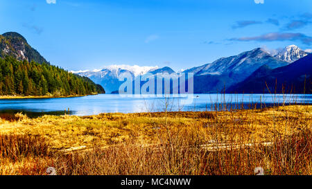 La direction d'un bateau de pêche du lac Pitt avec les sommets enneigés de la Golden Ears, Tingle Peak et d'autres sommets de montagnes de la Chaîne Côtière Banque D'Images