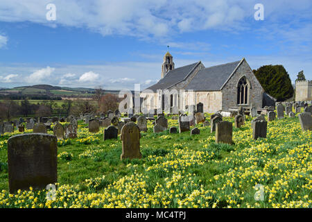 Église de Ford de jonquilles, Northumberland Banque D'Images