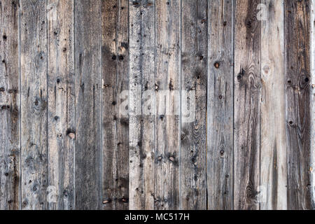 Modèle en bois, la texture de fond naturel, modèle vide. Banque D'Images