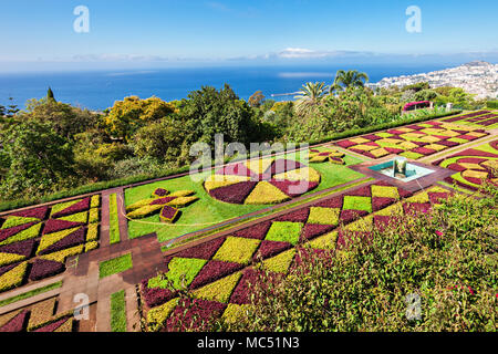 FUNCHAL, Madère - Juillet 09 : Jardin botanique de Madère, 09 juillet 2014 à Madère, au Portugal. Banque D'Images