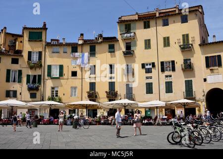 La Piazza dell'Anfiteatro suivant la forme de l'ancien amphithéâtre romain à Lucca, Italie, italien,Toscane . Banque D'Images