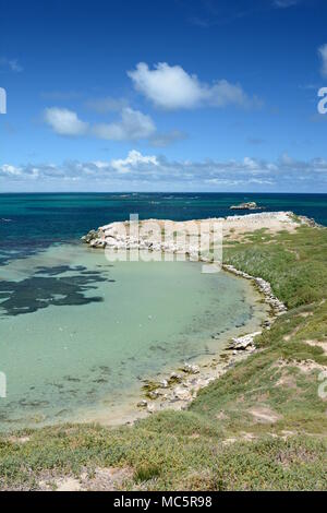 Plage de l'Île Penguin. Îles de Shoalwater marine park. Rockingham. L'ouest de l'Australie Banque D'Images