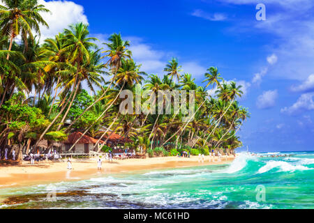 Belle plage d'Hikkaduwa,voir avec palmiers et la mer,le Sri Lanka. Banque D'Images