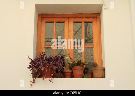 Plantes en pot sur un rebord de fenêtre, Alhama de Granada, Espagne du Sud