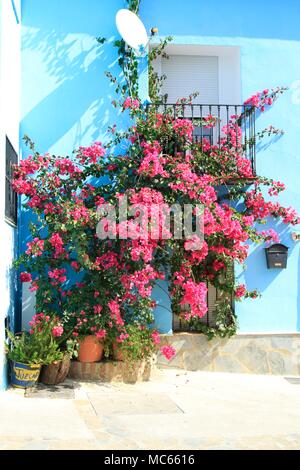 Le blue Village fortifié de Juzcar, Malaga, Espagne Banque D'Images