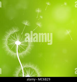 Avec les graines de pissenlits sur fond vert. Illustration de Vecteur