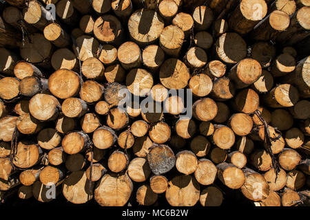 Mur de couper du bois de sciage en bois avec fond soleil ombre. Banque D'Images