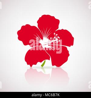 Fleur d'hibiscus rouge sur fond clair Illustration de Vecteur