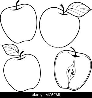 Pommes fraîches. Pommes sur fond blanc. Entiers et coupés en deux. Page de coloriage noir et blanc vectoriel. Illustration de Vecteur