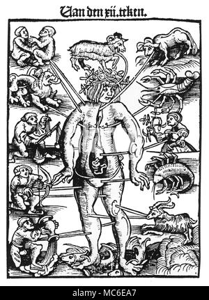 Astrologie - l'homme melothesic du zodiaque, ou soi-disant homme zodiacal, avec la 12 images du zodiaque en rapport avec les pièces internes et externes du corps. À partir de l'édition de 1532 Schapherders Der Kalender. Banque D'Images