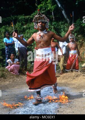 Les marcheurs de feu fire-walker marche sur des charbons au rituel de tambours, dans un village rural au nord de Kandy, Sri Lanka Banque D'Images