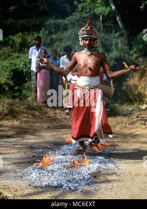 Les marcheurs de feu fire-walker marche sur des charbons au rituel de tambours, dans un village rural au nord de Kandy, Sri Lanka Banque D'Images