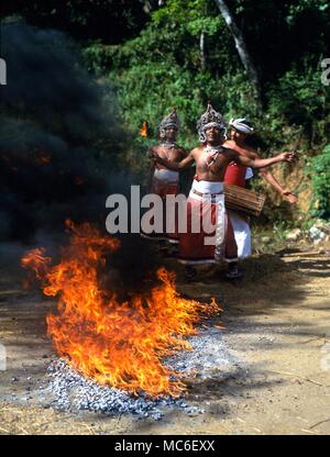 Les marcheurs de feu fire-walker marche sur des charbons au rituel de tambours, dans un village rural au nord de Kandy, Sri Lanka Banque D'Images