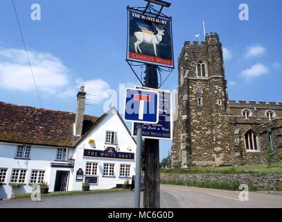 Animaux - White Hart enseigne de pub dans le village de Flitton, près de l'Amphill Banque D'Images