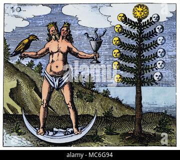 ALCHEMY - ARBRE DE LA LUNE - l'hermaphrodisme Gravure de Johann Daniel Mylius, Philosophia Reformata, 1622. La présence de l'arbre de la lune, ou l'Arbor Chevret, ainsi que le fait que l'hermaphrodite se dresse sur un croissant de lune, indique que l'étape est le processus alchimique marquant la perfection de la première médaille d'argent. La fusion de l'hermaphrodite le roi et la Reine indique que le processus n'est pas encore achevé, que l'intégration n'a pas eu lieu. Banque D'Images