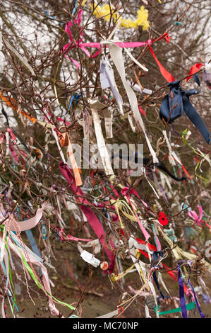 Lumineux colorés bunting, rubans, banderoles, fixés à un vieux hêtre sacré matures à proximité d'un monument célébrant la vie néolithique, ruban correcteur Banque D'Images