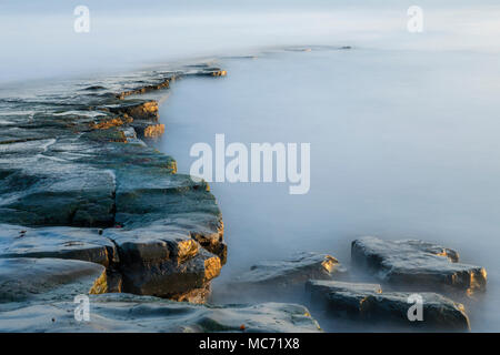 La baie de Kimmeridge, Tour Clavell, Jurassic Coast, Dorset, England, UK Banque D'Images