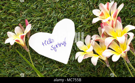 Remarque en forme de coeur avec des mots Bonjour Printemps !, avec des fleurs sur l'herbe verte. Banque D'Images