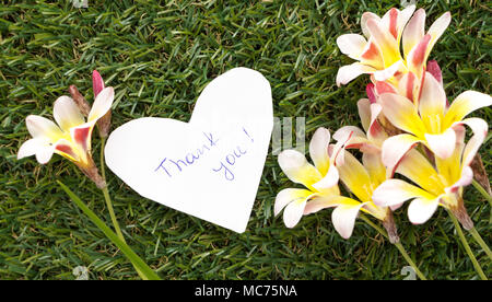 Remarque en forme de coeur avec des mots merci, avec des fleurs sur l'herbe verte. Banque D'Images