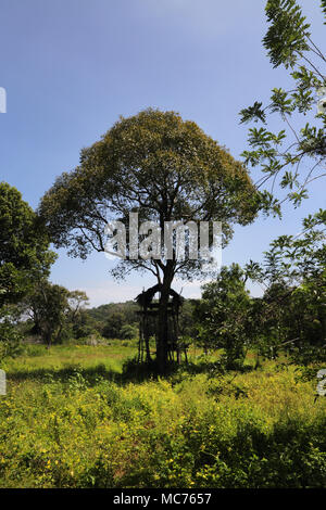 North Central Province Giritale Giritale Sri Lanka-le paysage près de la réplique de l'Avukana Buddha Banque D'Images