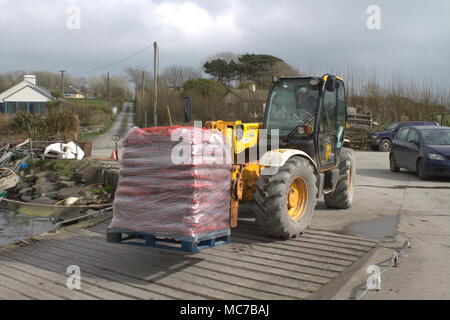Roaring Water Bay, West Cork, Irlande. 13 avril, 2018. Roaring Water Bay Moules, célèbre pour leur saveur étant débarqué déjà nettoyé et emballé sur une palette, pour être expédiés vers les marchés de France. Credit : aphperspective/Alamy Live News. Banque D'Images
