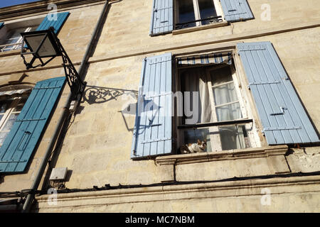 Les ombres du soir et chat sur les bâtiments historiques à Arles, France, 2018 Banque D'Images