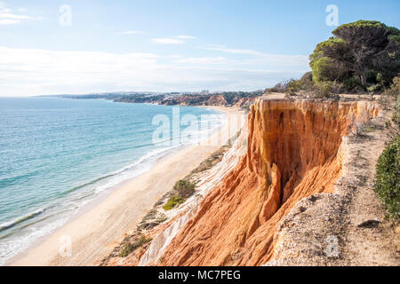 Les falaises le long de la plage de Falesia Beutiful et l'océan Atlantique à Albufeira, Algarve, Portugal Banque D'Images