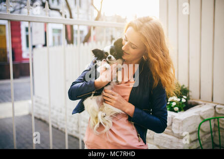 Une jeune femme de race blanche aux cheveux roux est titulaire d'un petit chien amusant dans les bras de deux couleurs noir et blanc de chihuahua. Des étreintes et des baisers amour montre contre Banque D'Images