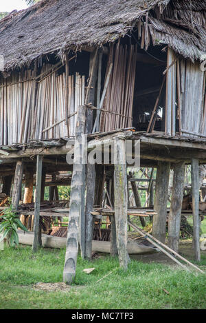 Village de Swagup gens insectes avec des maisons sur pilotis en bois, haut Sepik, Papouasie Nouvelle Guinée Banque D'Images