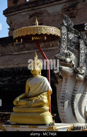 Statue de Bouddha en or et de dragons en face de la grande pagoda temple chedi de Wat Chedi Luang, Chiang Mai, Thaïlande Banque D'Images