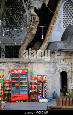 Coca-Cola rouge réfrigérateur, rafraîchissements et collations le long d'un mur en face d'un vieux bâtiment avec un très vieil arbre dans l'arrière-plan - Istanbul, Turquie Banque D'Images