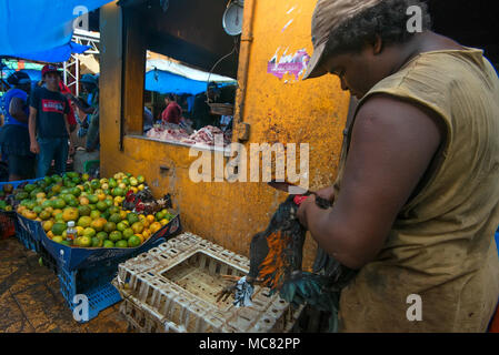 HIGUEY, EN RÉPUBLIQUE DOMINICAINE - 1 novembre, 2015 : boucher non identifiés avec le poulet et le couteau en marché local à Higuey, République dominicaine. C'est un sove Banque D'Images