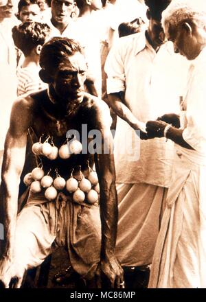 Les participants à la fête hindoue de Thaipusam, tenue à Singapour. Dans une transe, l'homme est auto-mutilé avec des brochettes. Plus tard, il n'y a aucune trace de blessures. Crédit Photo : Philippe Daly Banque D'Images