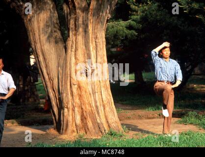 TAI CHI - Chinese man practicing Tai Chi dans les jardins du temple céleste, Beijing, Chine Banque D'Images