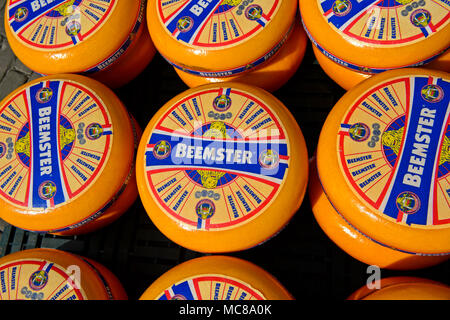 Tours de fromage, le marché du fromage d'Alkmaar, Hollande du Nord, Pays-Bas, Europe Banque D'Images