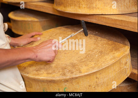 Rognaix (Alpes, au sud-est de la France). Société "Les caves d'affinage des fromages de Savoie, mûrisseur. Ronde de fromage de Beaufort Banque D'Images