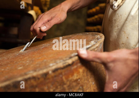 Rognaix (Alpes, au sud-est de la France). Société "Les caves d'affinage des fromages de Savoie, mûrisseur. Ronde de fromage de Beaufort Banque D'Images