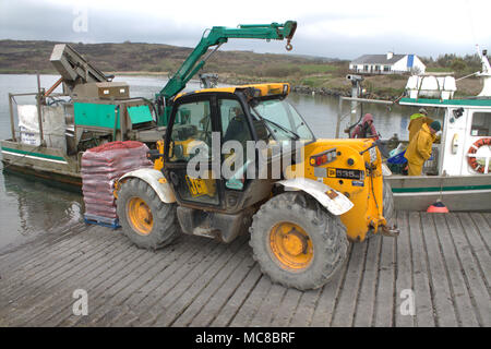 Roaring Water Bay, West Cork, Irlande. Roaring Water Bay Moules, célèbre pour leur saveur étant débarqué déjà nettoyé et emballé sur une palette. Banque D'Images